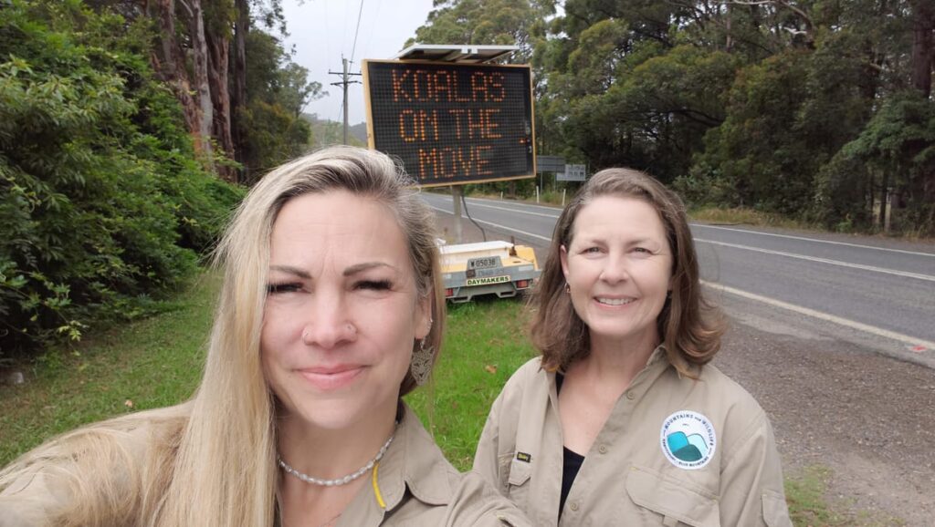 Urgent: Koala Warning Signs Installed in Hawkesbury for Safety