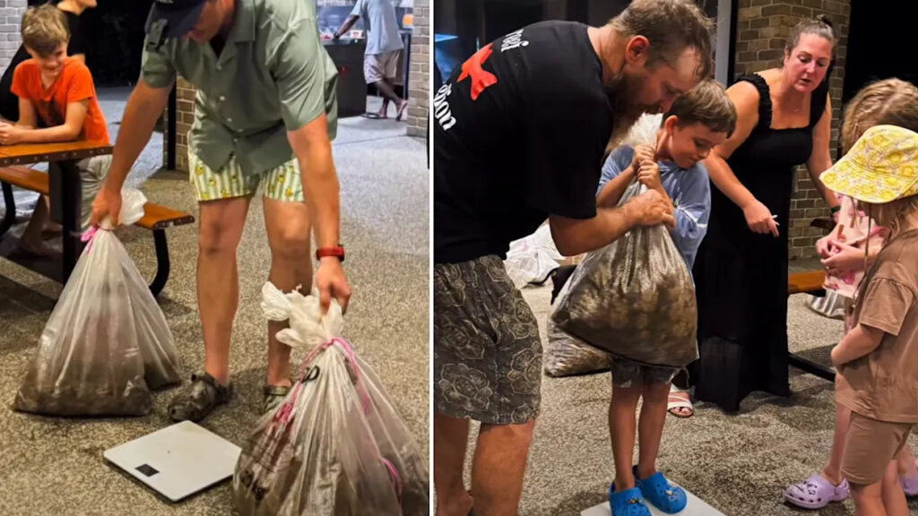 Aussie Conservationists Rally Against Cane Toad Invasion, Collect 96kg